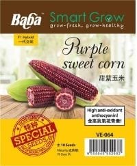 VE-064 PURPLE SWEET CORN