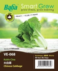 VE068_Chinese Cabbage_OP