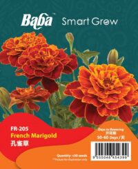 FR-205 French Marigold_OP-01
