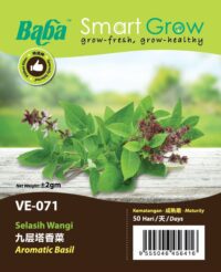 VE071_Aromatic Basil_OP