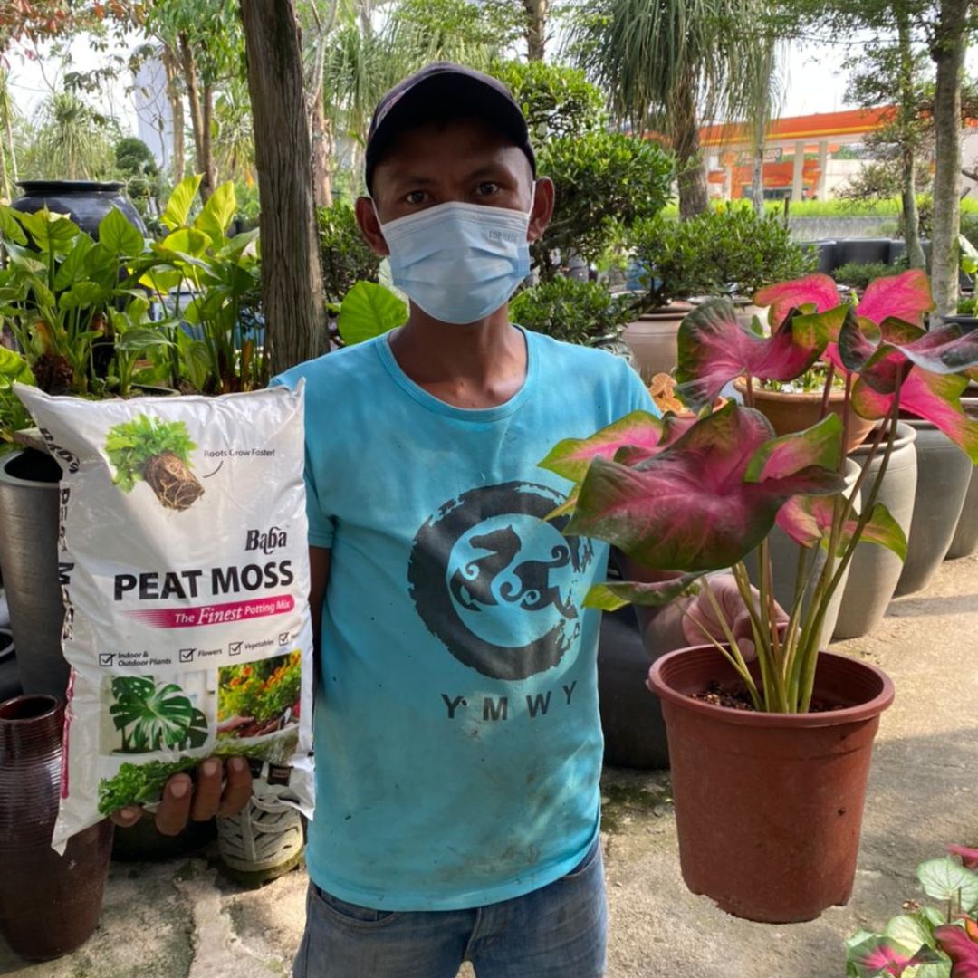 Baba Organic Soil