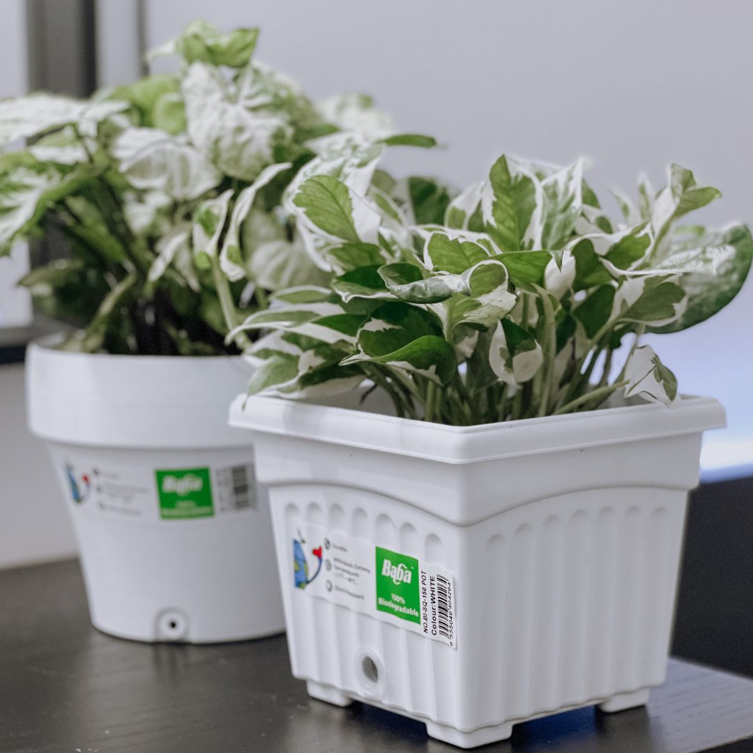 Baba Flower Pot