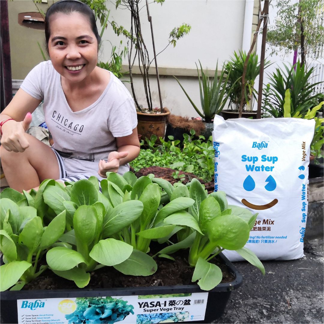 Mr Ganick Organic Pesticide