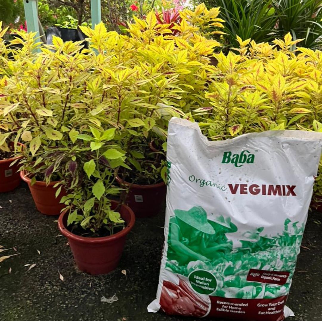 Baba Organic Soil