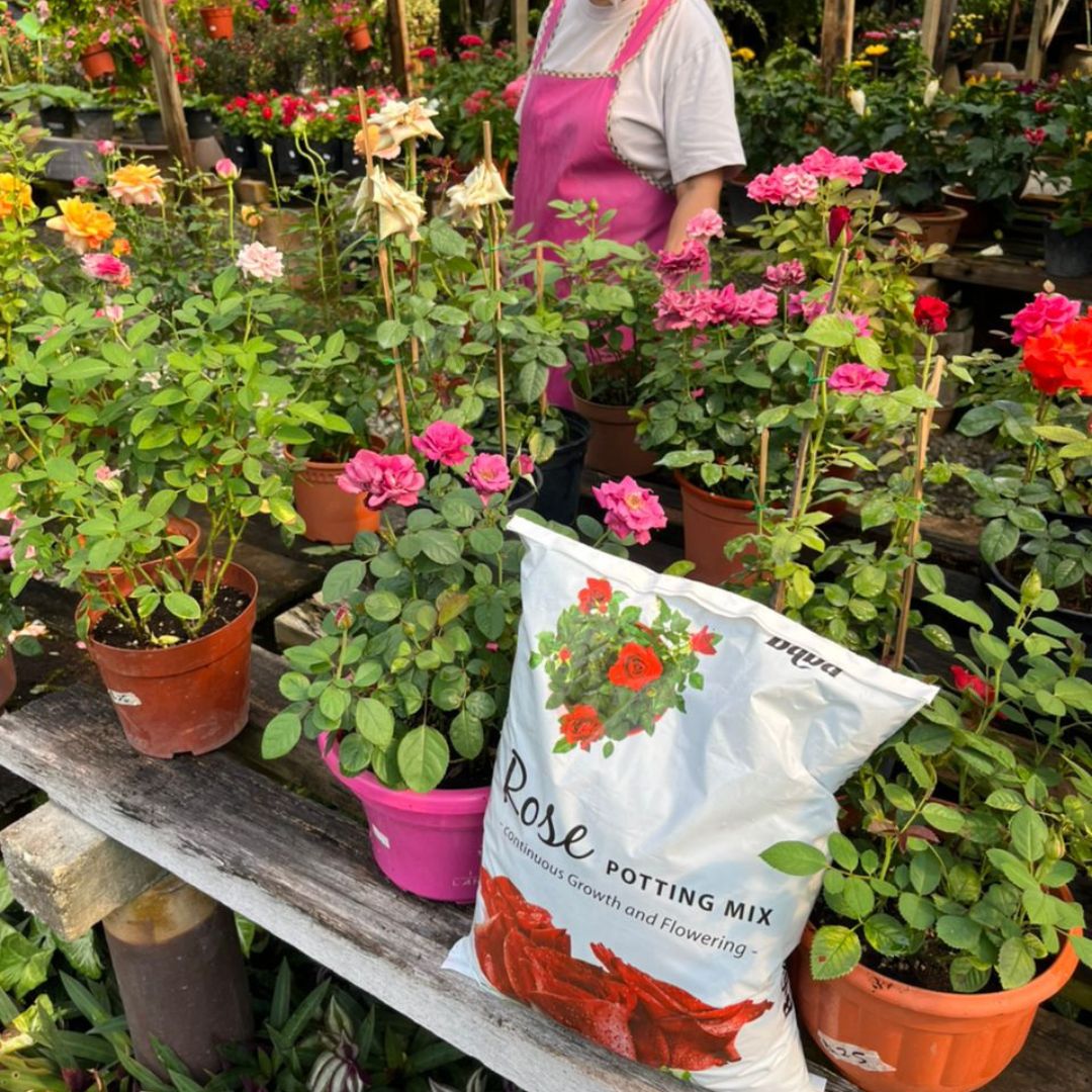 Baba Organic Soil