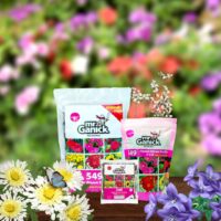 Mr Ganick 549 Organic Flower Bloom Fertilizer