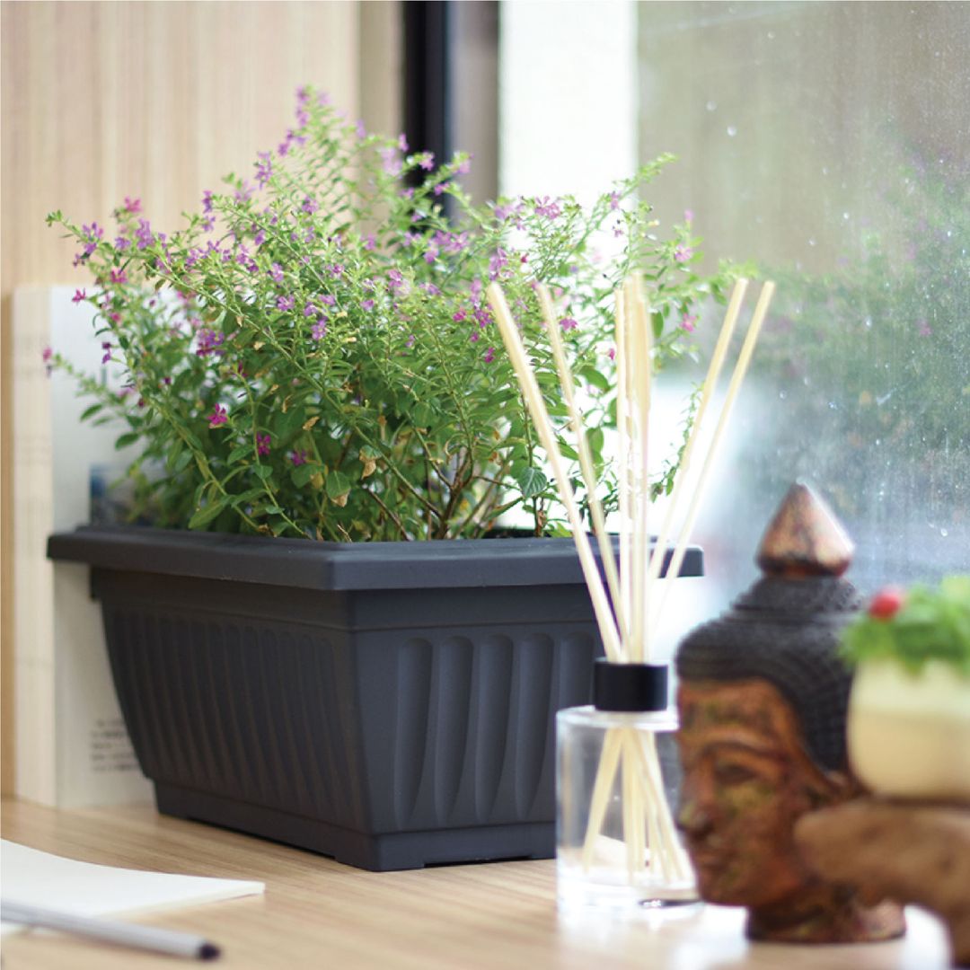 Baba Flower Pot