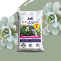 Cacti & Succulent Potting Mix