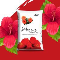 Hibiscus Potting Mix