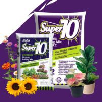 Super 10 Potting Mix