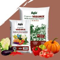 Vegimix Potting Mix