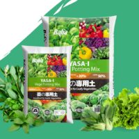Yasa-I Potting Mix