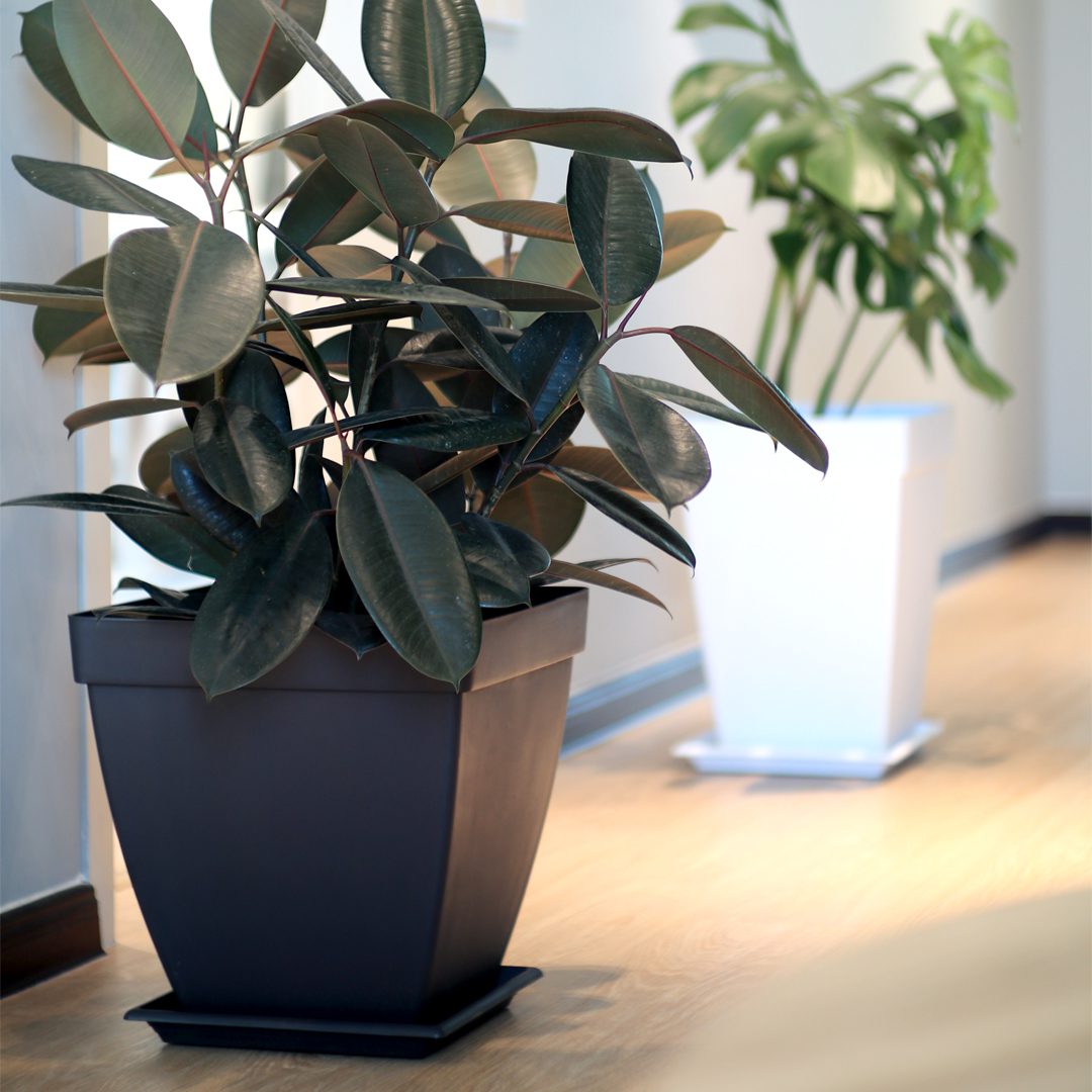 BI-SP-350 POT