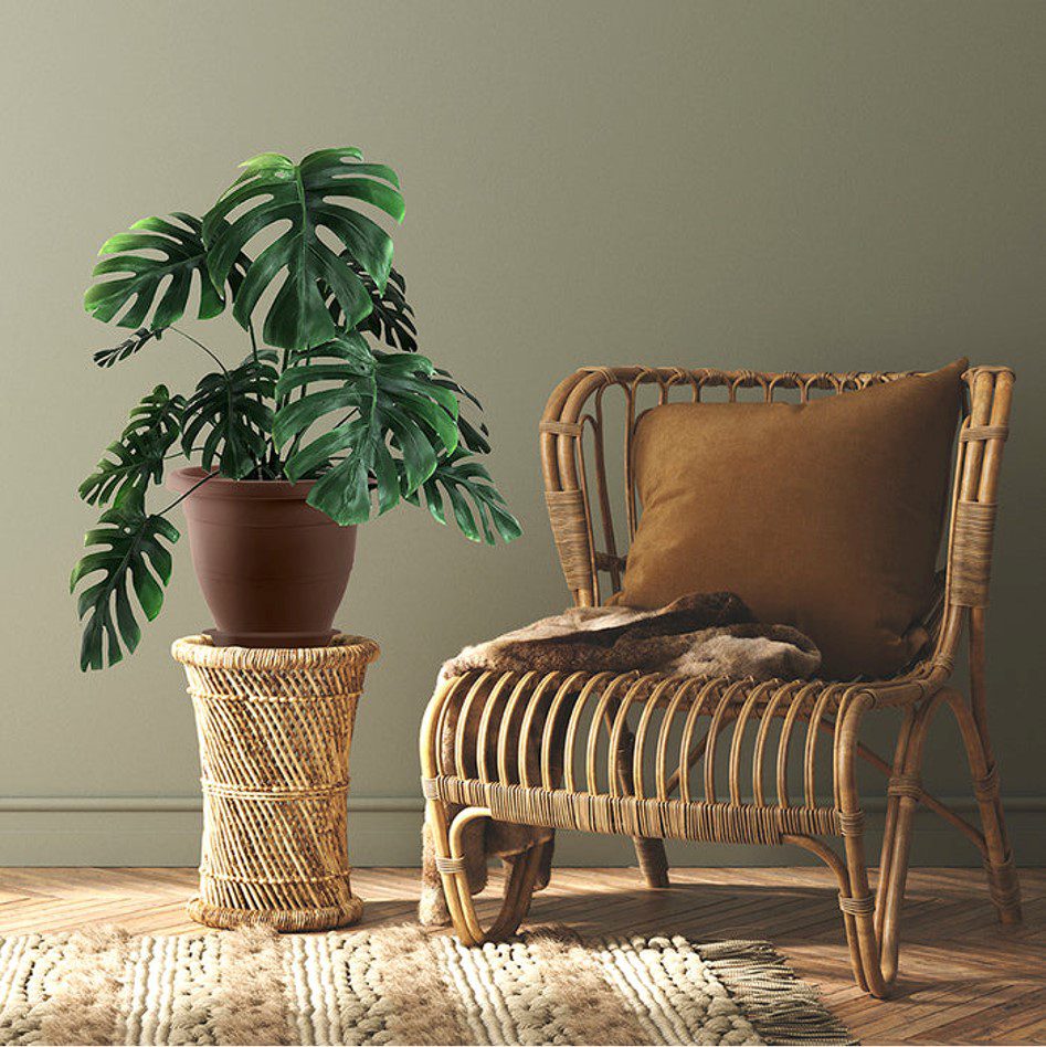 Baba Biodegradable EG Series Flower Pot
