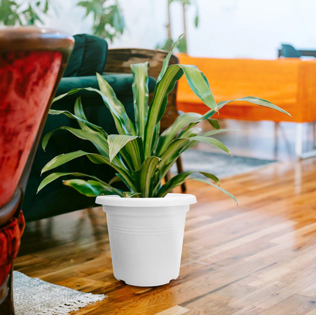 Baba Biodegradable TP Series Flower Pot