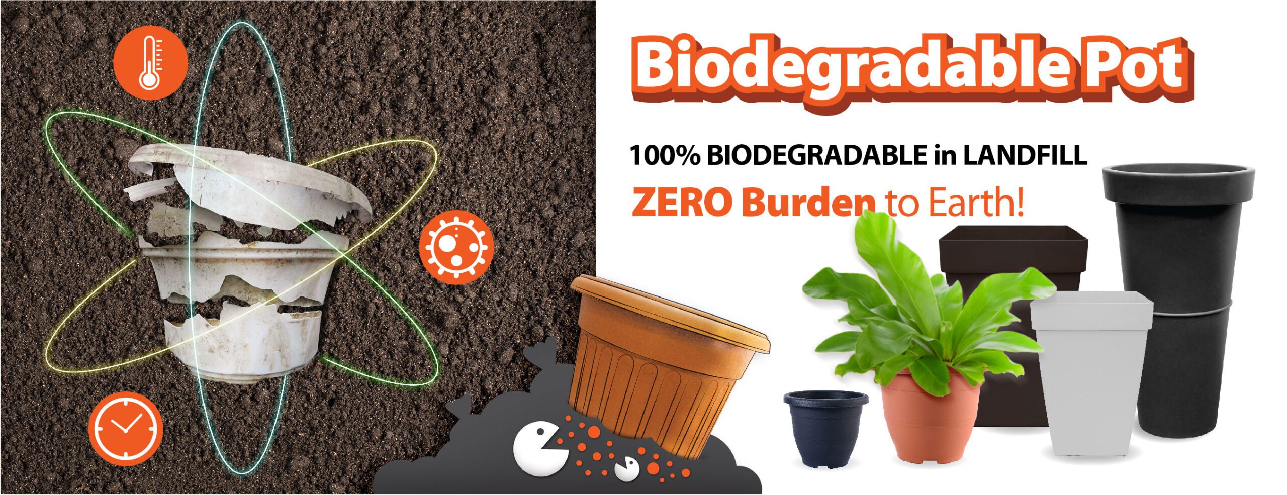 Baba Web Site Banner_1300 x 500_01-01