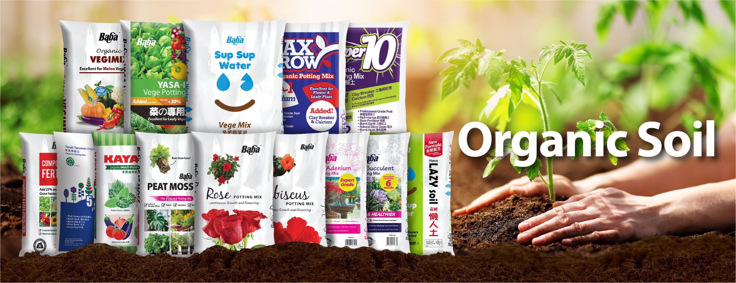 Baba Web Site Banner_1300 x 500_01-03