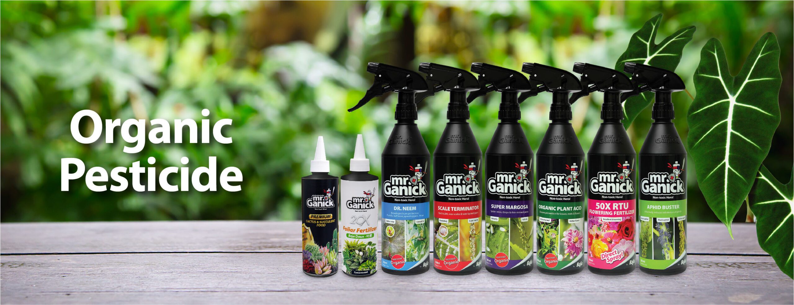 Baba Web Site Banner_1300 x 500_01-05
