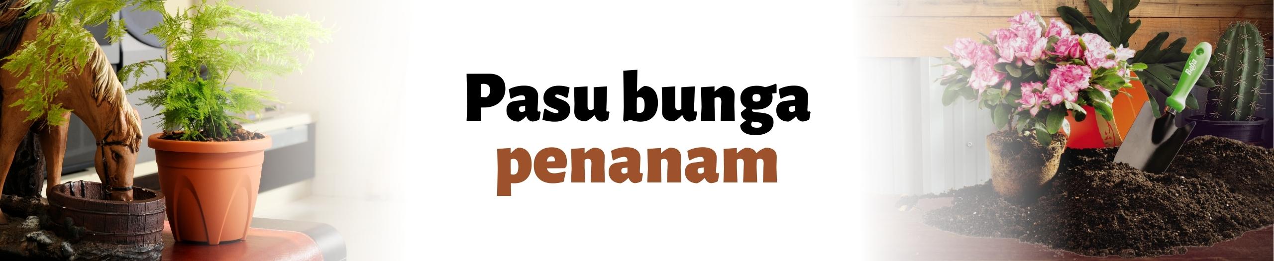 Baba pasu bunga penanam
