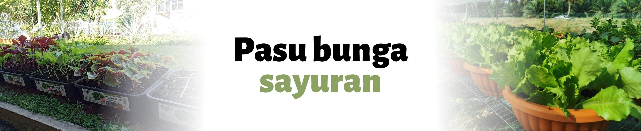 Baba pasu bunga sayuran