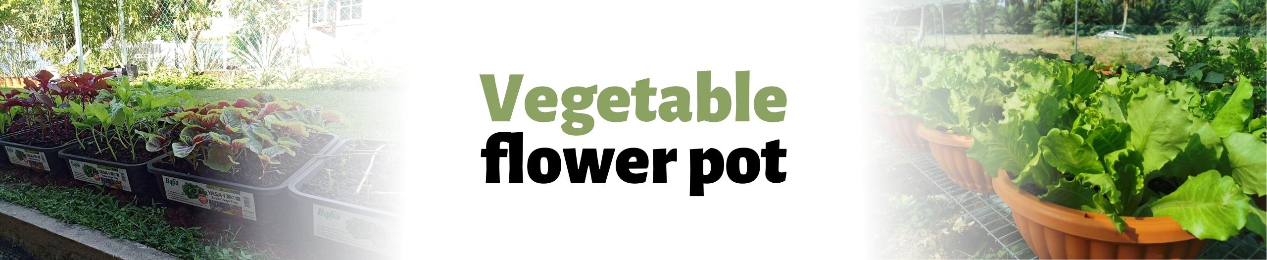 Baba vegetable flower pot