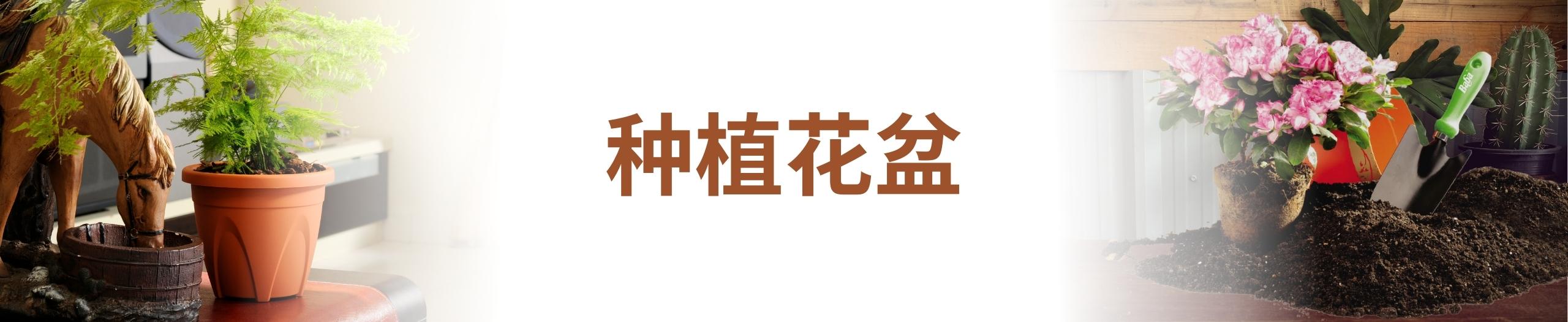 Baba 种植花盆