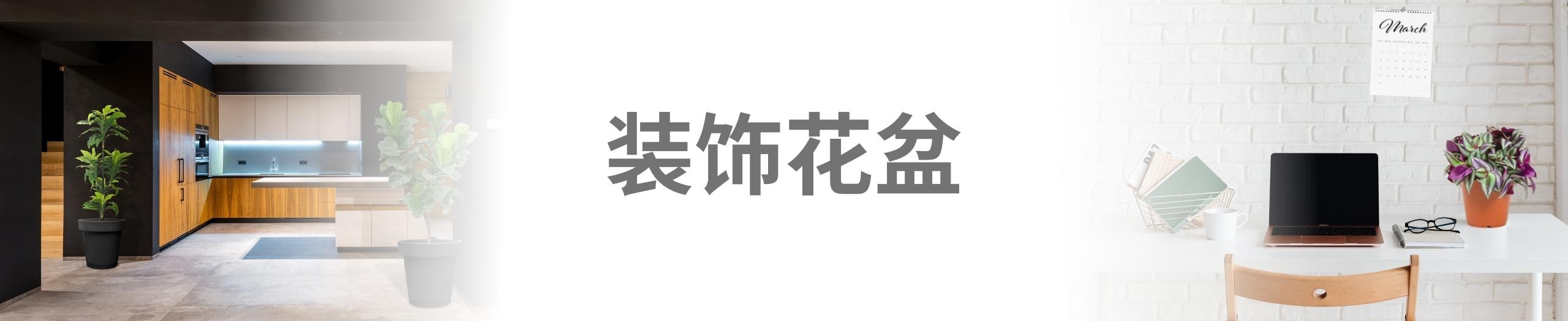 Baba 装饰花盆