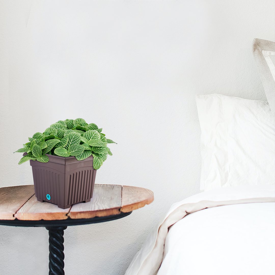 Living room interior room wall mockup in dark tones and blue arm Baba SQ Pot