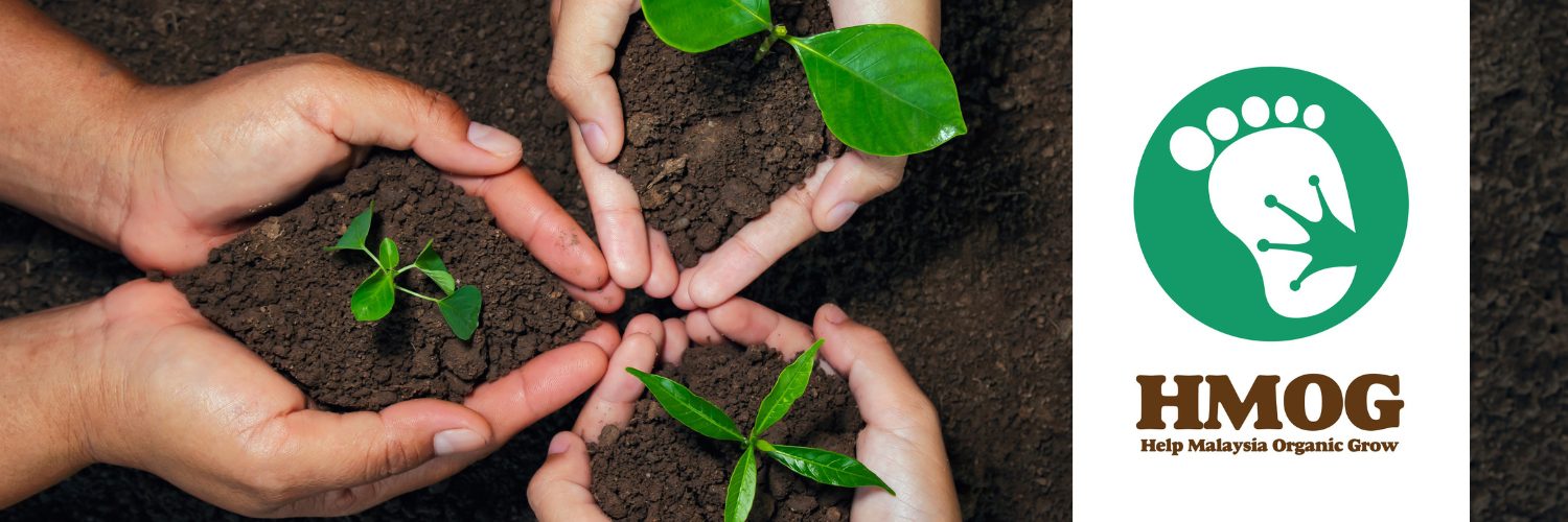 HMOG – Baba Gardening