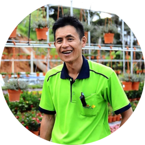 Mr. Khor