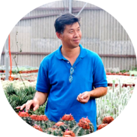 Mr. Kok