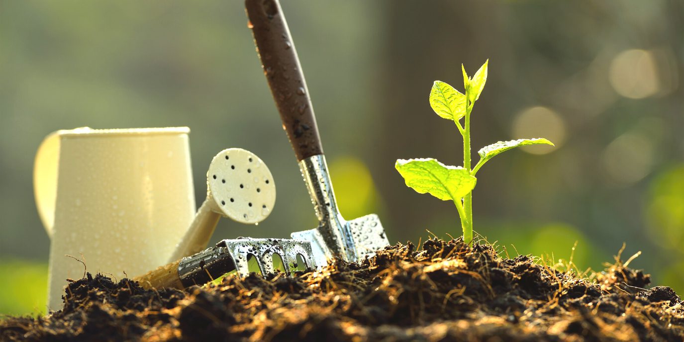 Promote Organic Farming — Baba