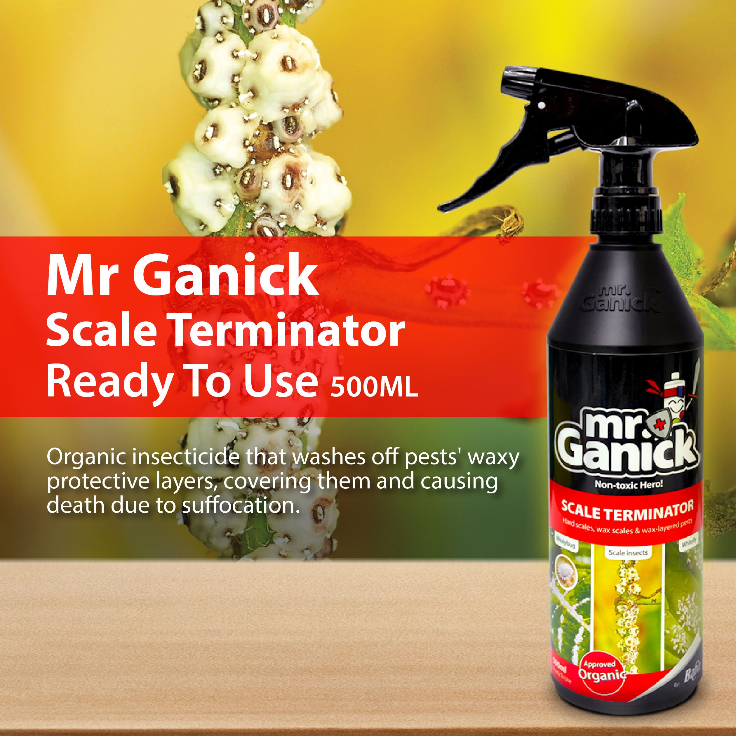 Mr Ganick Scale Terminator-01